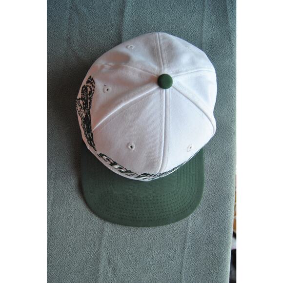 Michigan State Spartans Nike Snapback Hat - Picture 4 of 9